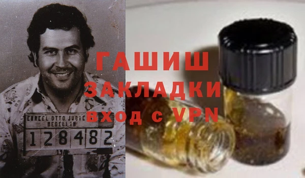 шишки Дмитровск