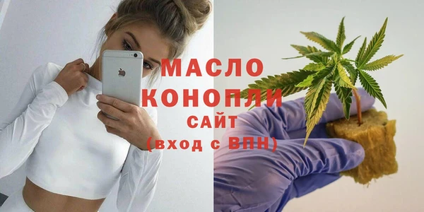 ешки Дмитриев