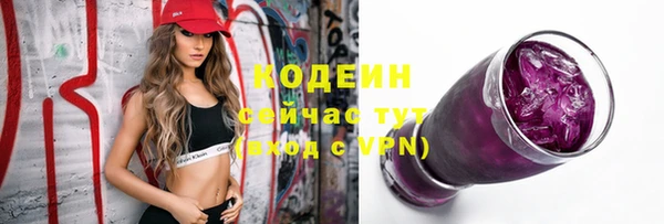 шишки Дмитровск