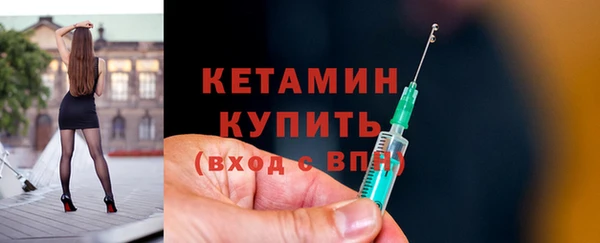 шишки Дмитровск
