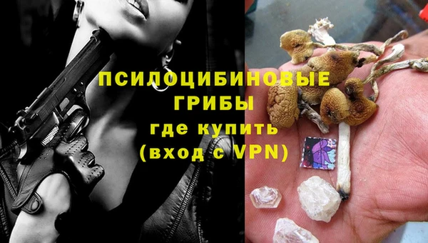ешки Дмитриев