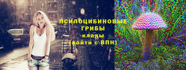 шишки Дмитровск