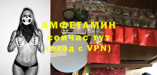 ешки Дмитриев