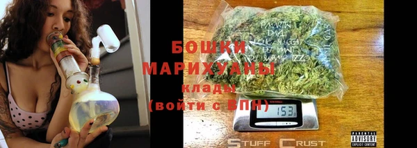 ешки Дмитриев