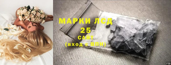 шишки Дмитровск