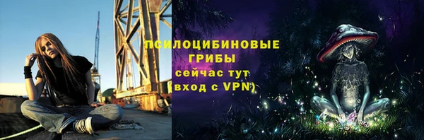 ешки Дмитриев