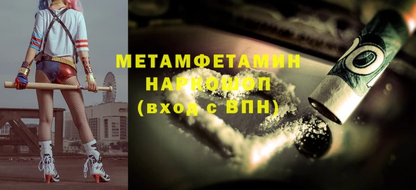 шишки Дмитровск