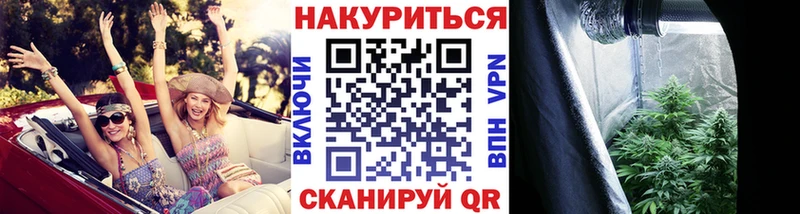 наркотики  Йошкар-Ола  Бошки марихуана SATIVA & INDICA 